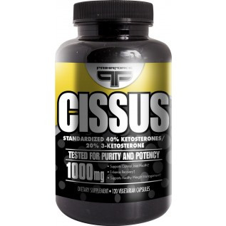 PrimaForce Cissus 120 Capsules