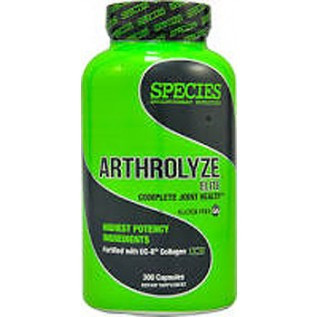 Species Nutrition Arthrolyze Elite 300 Capsules