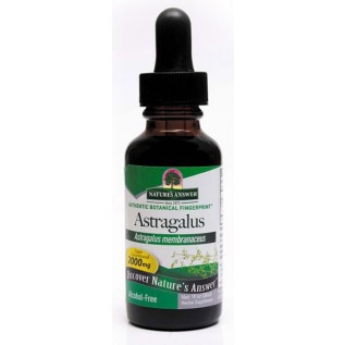 Alcohol Free Astralagus 30 ml