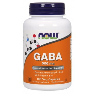 Now Gaba 500mg 500mg-100 Capsules