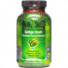 Irwin Naturals Ginkgo Smart 120 Liquid Softgels