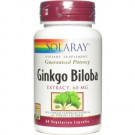 Solaray Ginkgo Biloba Extract 60 Capsules