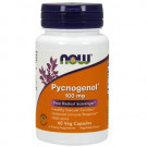 Pycnogenol 100 mg 100mg-60 -Capsules